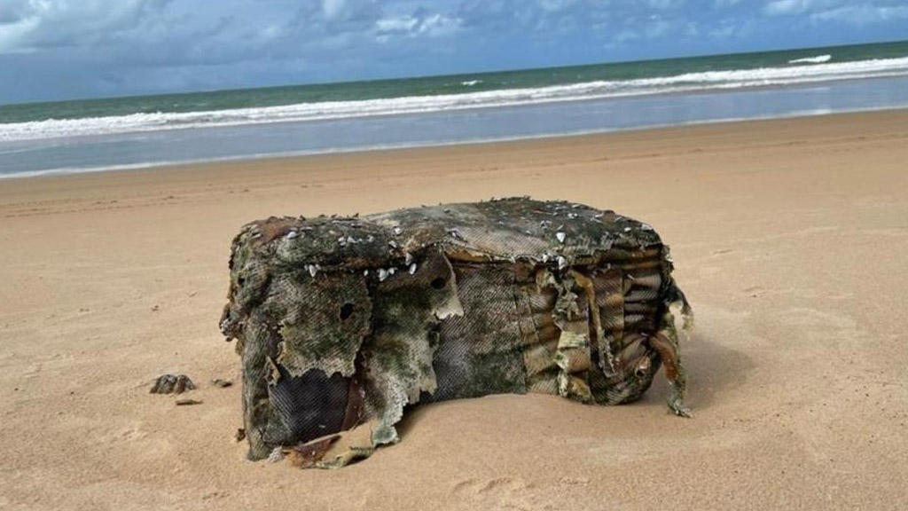 Las "misteriosas cajas" de un barco nazi hundido que aparecen en las costas de Brasil