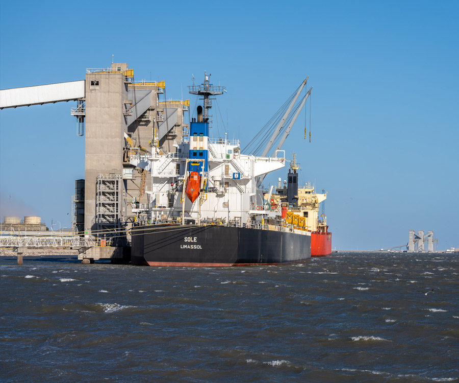 Crecieron un 70% las exportaciones de trigo por el puerto de Bahía Blanca