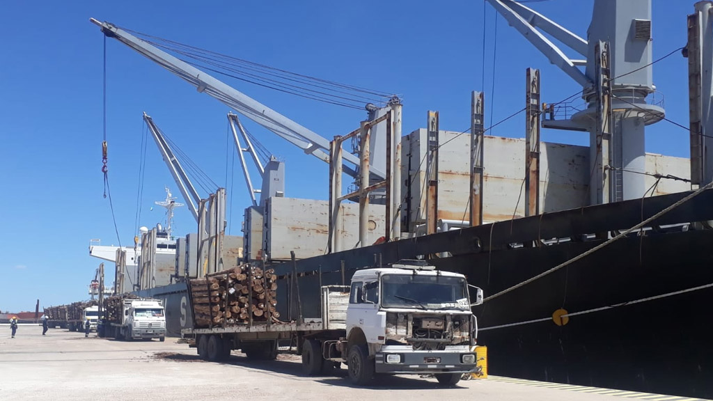 Nueva carga de madera para exportación en Ibicuy