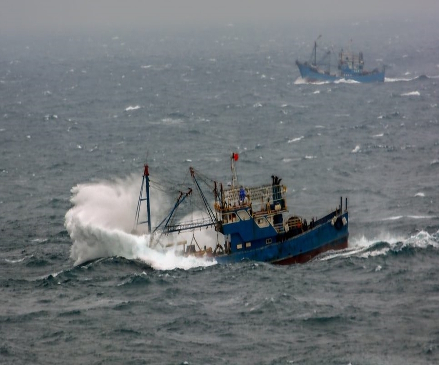 Pesca ilegal: “Esperemos que Argentina haga que China respete nuestra soberanía" (Nota II)