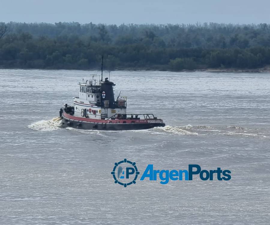 Hidrovía: Una delegación paraguaya insistirá en Buenos Aires la postergación del peaje