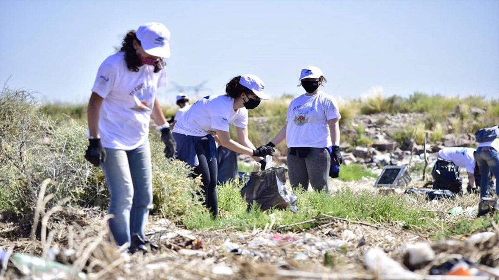 En fotos: tarea medioambiental en un sector costero del puerto de Bahía Blanca