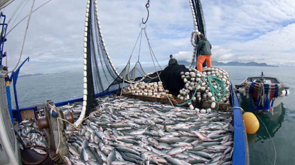 La captura total permisible de merluza para 2023 será de 70.000 toneladas