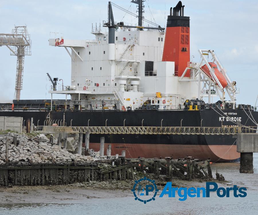 Bahía Blanca: se exportaron 13,05 millones de toneladas de cereales, oleaginosas y derivados