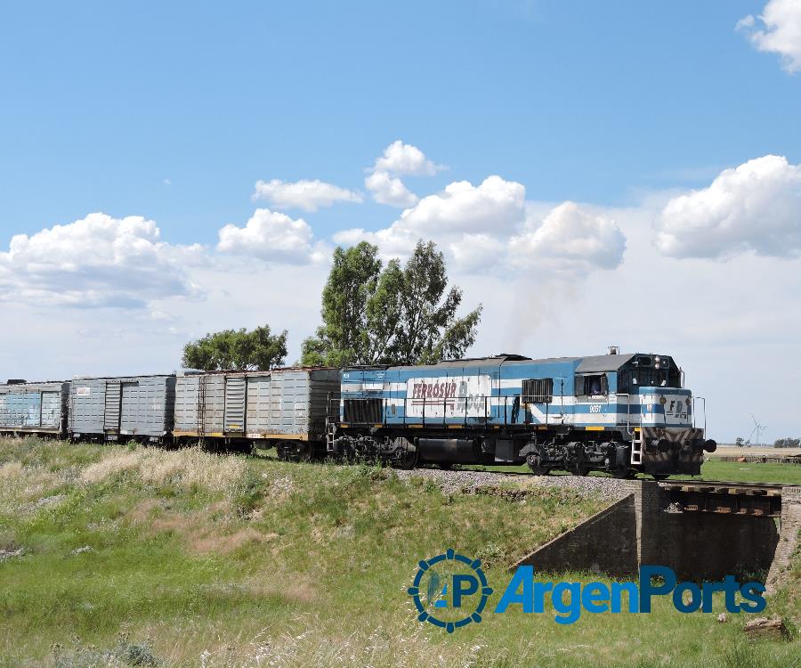 Se confirmaron las ofertas para la playa ferroviaria de Añelo del tren a Vaca Muerta