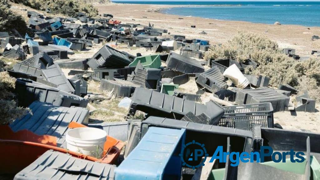 Península Valdés: responsabilizan a la flota pesquera por los desechos encontrados