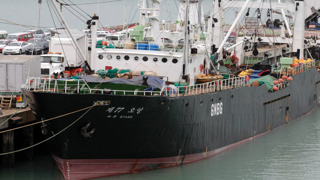 Denuncian que buques chinos y coreanos cazan especies protegidas en la Patagonia
