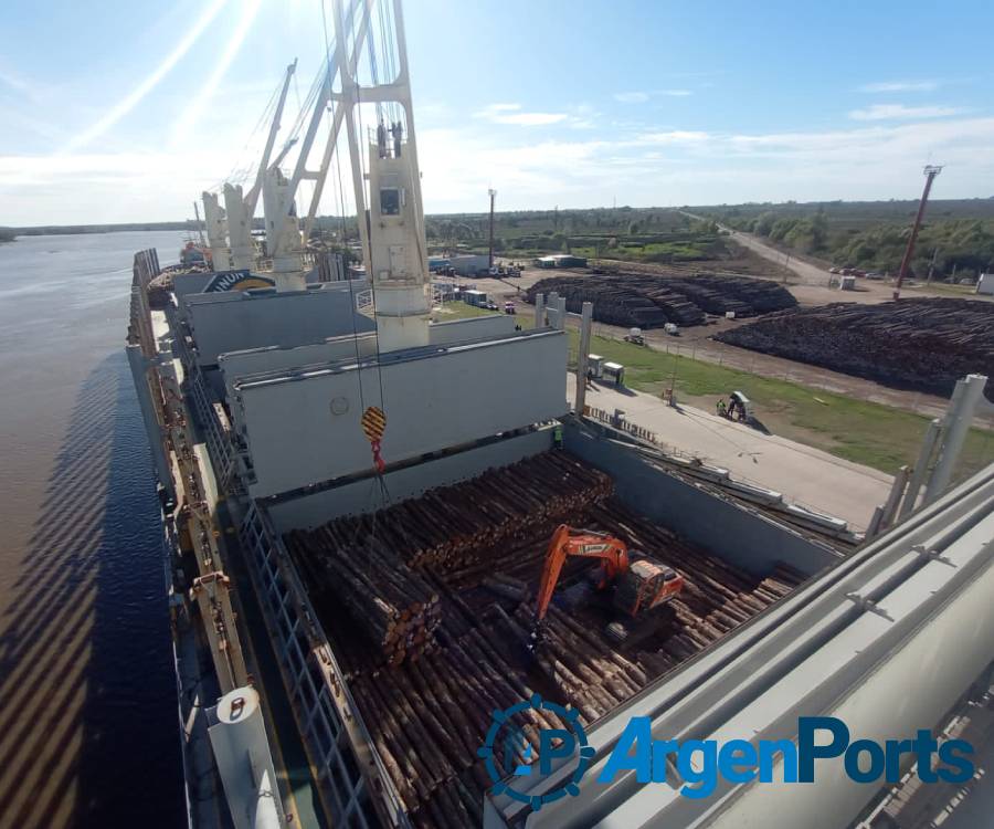 En fotos y video: nueva exportación de madera desde puerto Ibicuy a la India