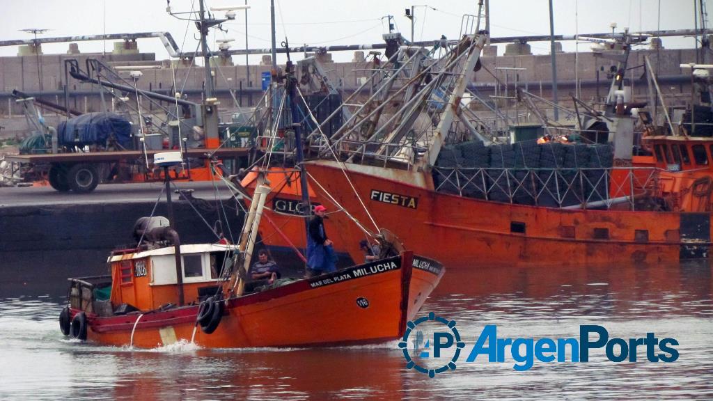 Mar del Plata: el ritmo de la actividad pesquera está siendo “aceptable”