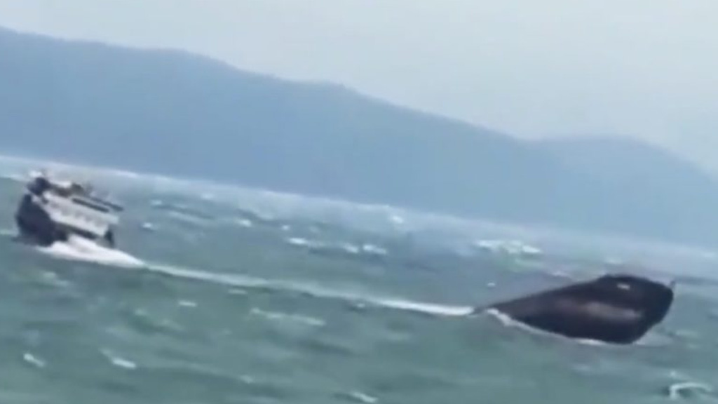 Video: el impactante momento en que un buque se parte en dos y se hunde en el Mar Negro