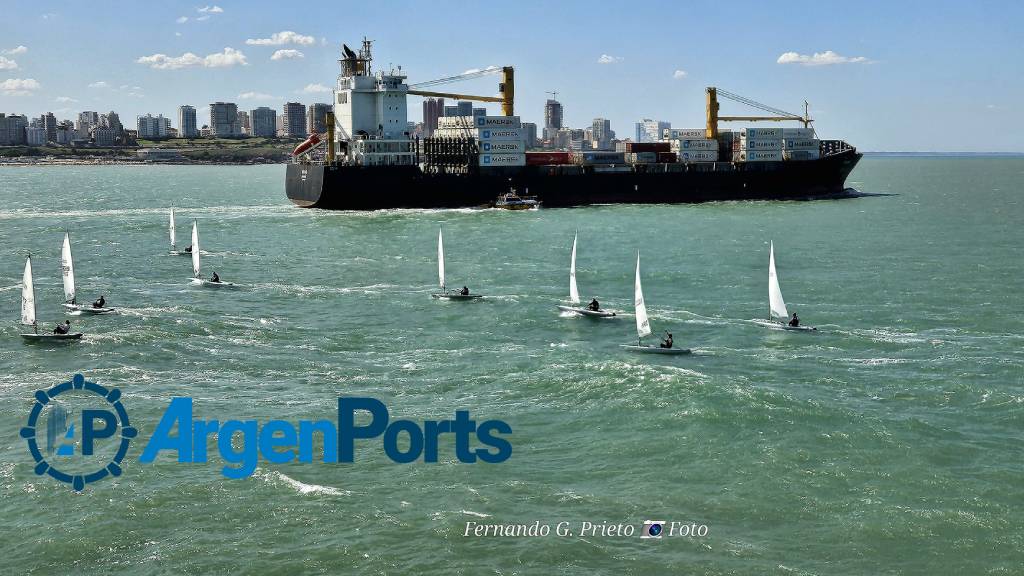 Mar del Plata: interés de MSC, Maersk y CMA-CGM en la exportación de Lamb Weston