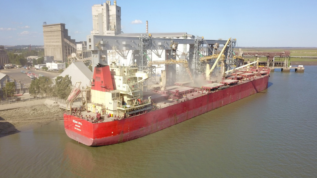 Descargaron 288.105 toneladas de granos en la última semana en el puerto bahiense