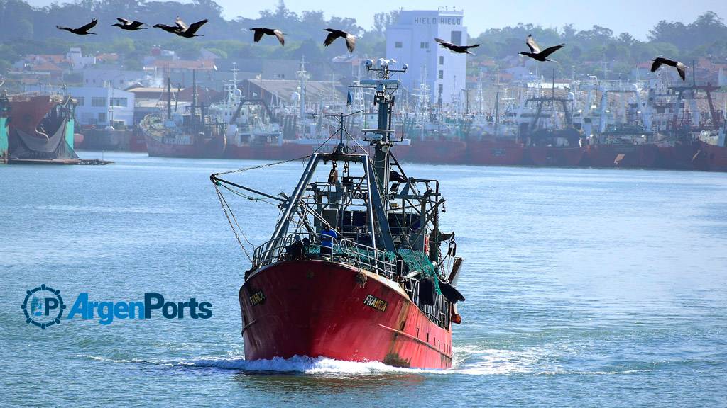 Mar del Plata: se viene la pelea de fondo en la pesca, el Puerto crece y más offshore