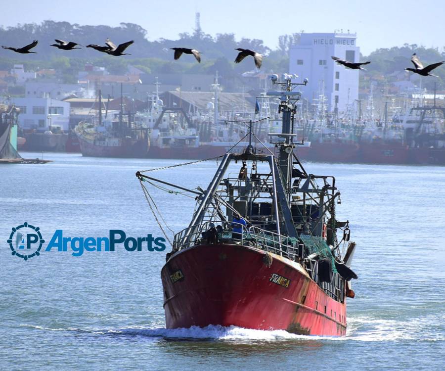 Mar del Plata: se viene la pelea de fondo en la pesca, el Puerto crece y más offshore
