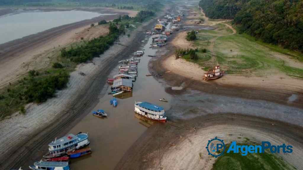 El río Amazonas se está secando: advierten sobre el cambio climático