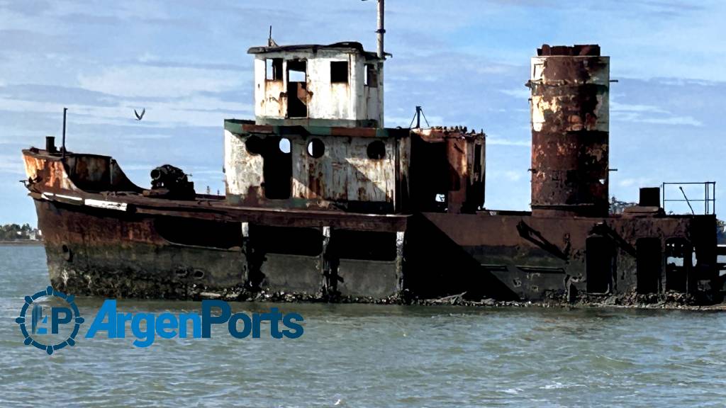 En video: el adiós a un símbolo del estuario de Bahía Blanca