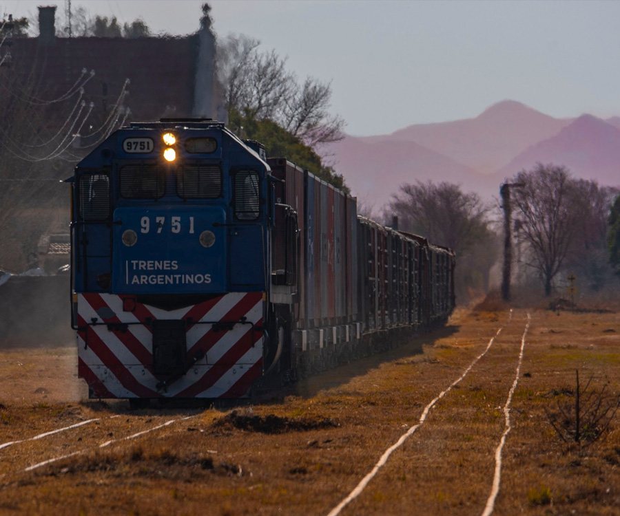 Trenes Argentinos Cargas transportó cifras históricas en los primeros cinco meses del año