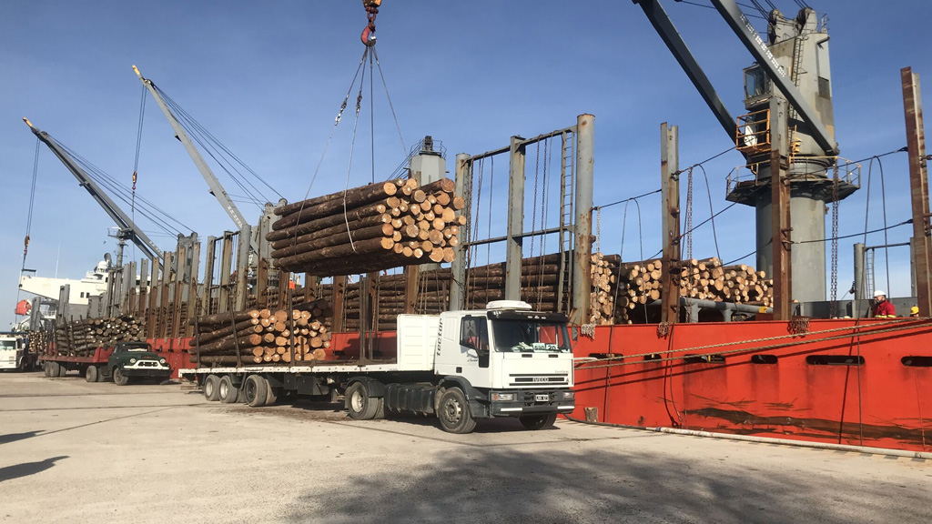 Ibicuy complementa a Concepción del Uruguay en una exportación de rollizos de pino